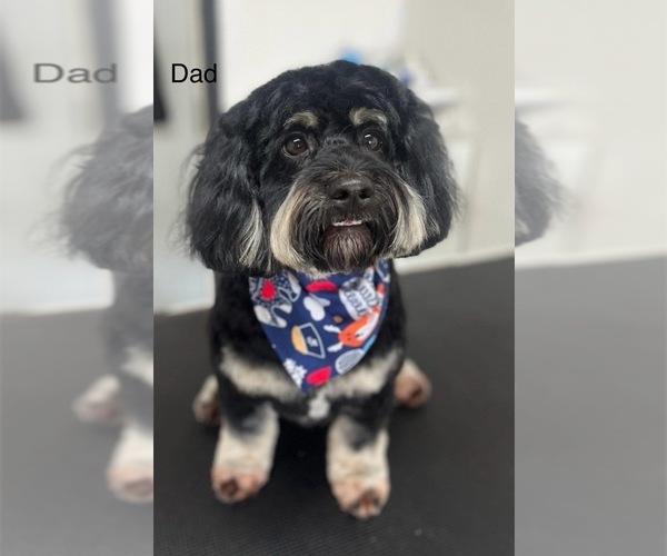 Medium Photo #1  Breeder Profile in MURFREESBORO, TN, USA