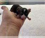 Small #3 Breeder Profile image