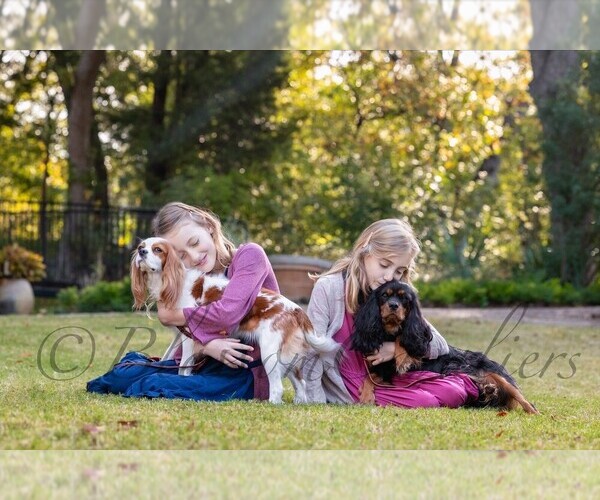 Medium Photo #4  Breeder Profile in IDAHO FALLS, ID, USA