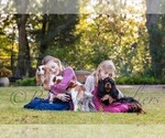 Small #3 Breeder Profile image