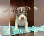 Small #15 Breeder Profile image