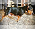 Small #27 Breeder Profile image