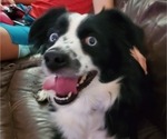 Small #2 Breeder Profile image