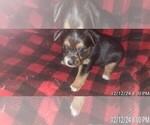 Small #356 Breeder Profile image