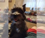 Small #12 Breeder Profile image