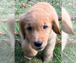 Small #4 Breeder Profile image