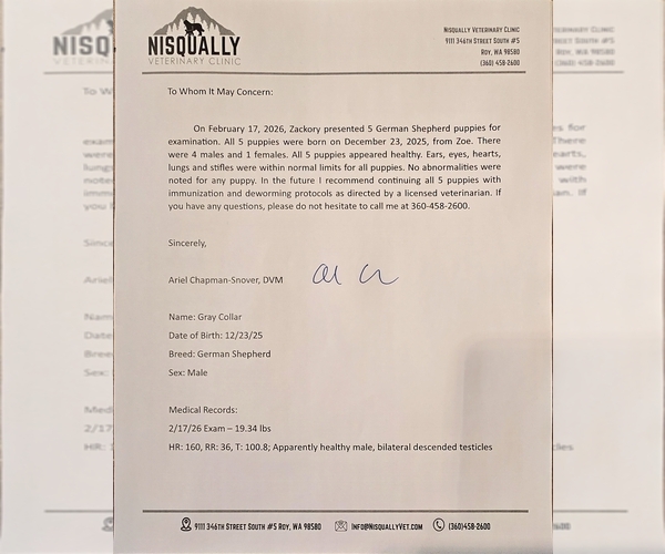 Medium Photo #10  Breeder Profile in ROCHESTER, WA, USA