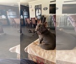 Small #30 Breeder Profile image
