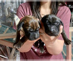 Small #7 Breeder Profile image