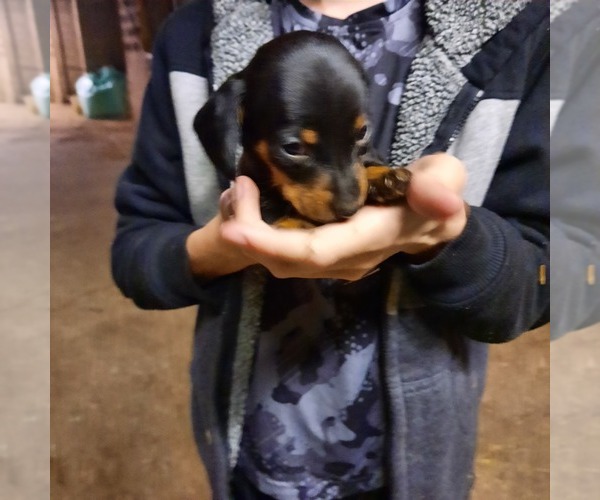 Medium Photo #1  Breeder Profile in HOPKINS, SC, USA