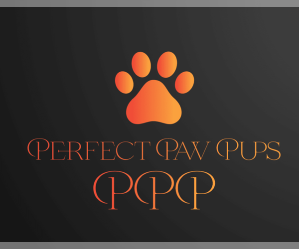 Medium Photo #1  Breeder Profile in HUMBLE, TX, USA