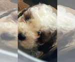 Small #2 Breeder Profile image