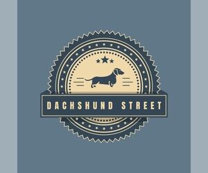 Dachshund Dog Breeder in SAN DIEGO,  USA