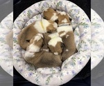 Small #4 Breeder Profile image