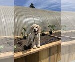 Small #65 Breeder Profile image