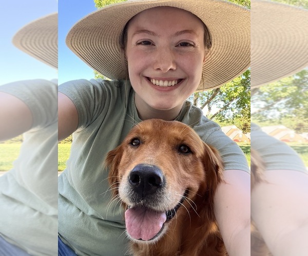 Medium Photo #1  Breeder Profile in HIGH POINT, NC, USA