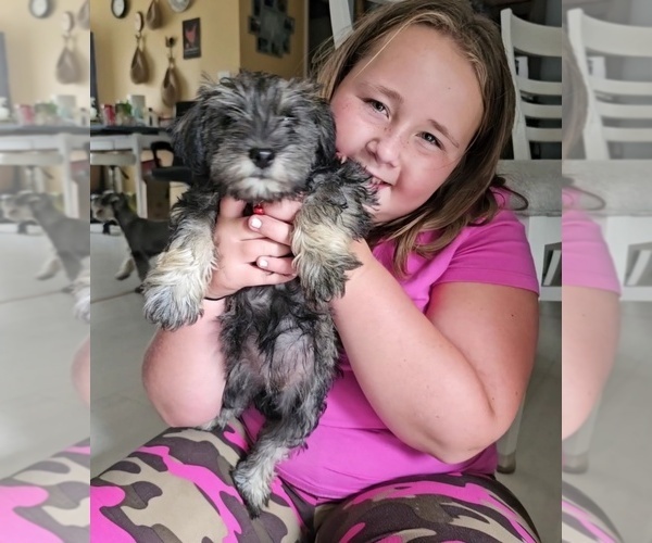 Medium Photo #4  Breeder Profile in DEMOTTE, IN, USA