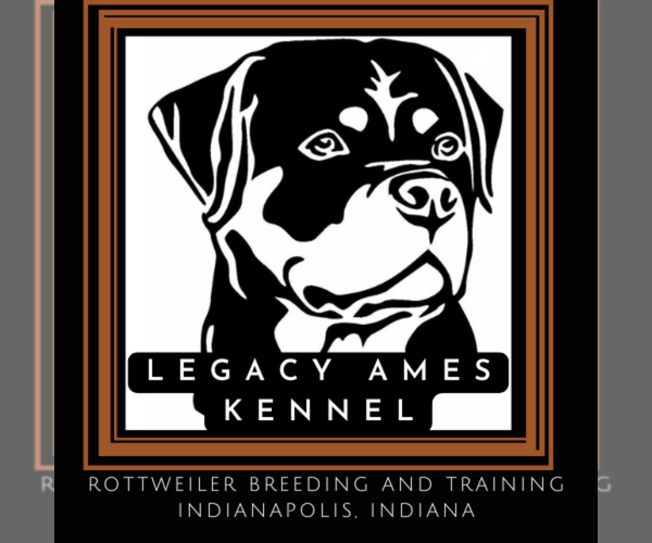 Medium Photo #1  Breeder Profile in INDIANAPOLIS, IN, USA