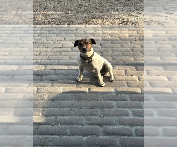 Medium Photo #9  Breeder Profile in BELLVILLE, TX, USA