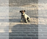 Small #8 Breeder Profile image