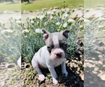 Small #7 Breeder Profile image