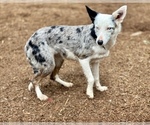Small #7 Breeder Profile image