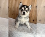 Small #30 Breeder Profile image
