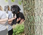 Small #5 Breeder Profile image