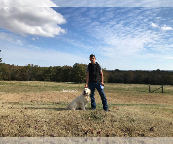 Medium Photo #1  Breeder Profile in HARRISON, AR, USA