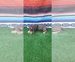 Small #2 Breeder Profile image