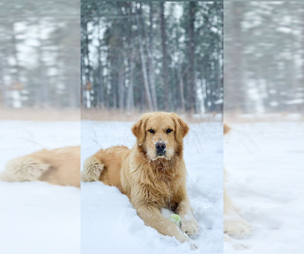 Medium Photo #1  Breeder Profile in BYERS, CO, USA