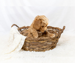 Small #22 Breeder Profile image
