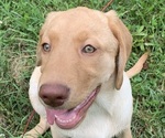 Small #5 Breeder Profile image