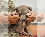 Small #10 Breeder Profile image