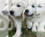 Small #9 Breeder Profile image
