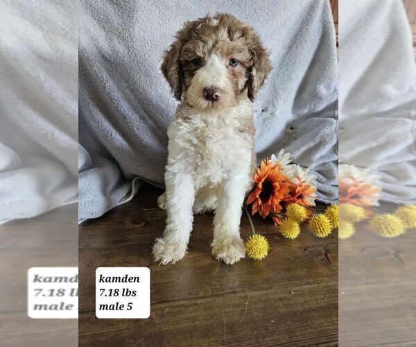 Medium Photo #7  Breeder Profile in SIOUX CENTER, IA, USA