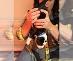 Small #3 Breeder Profile image