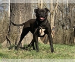 Small #25 Breeder Profile image