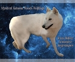 Small #5 Breeder Profile image