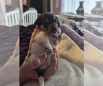 Small #24 Breeder Profile image