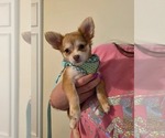Small #83 Breeder Profile image