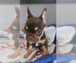Small #3 Breeder Profile image