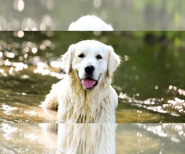 Medium Photo #1  Breeder Profile in MORRILL, KS, USA