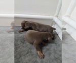 Small #6 Breeder Profile image