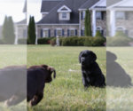 Small #3 Breeder Profile image