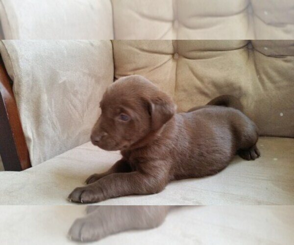 Medium Photo #1  Breeder Profile in OGDEN, UT, USA