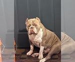 Small #20 Breeder Profile image