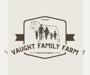 Australian Shepherd Dog Breeder near CHRISTIANA, TN, USA