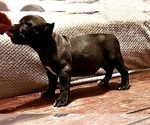 Small #9 Breeder Profile image