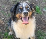 Small #10 Breeder Profile image